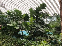 -龙脉温泉室内游泳馆