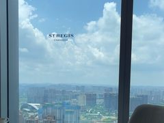 -Yan Ting宴庭中餐厅-长沙瑞吉酒店(运达店)