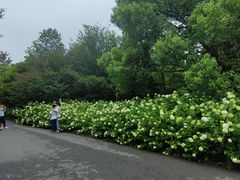 -上海滨江森林公园
