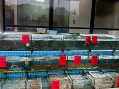 -洲晓鲜·舟山海鲜大排档(朱家尖风景区店)