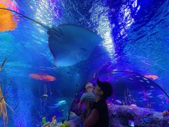 -沈阳海洋探索中心