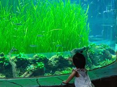 -海合安成都极地海洋公园