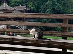 -郎德苗寨景区