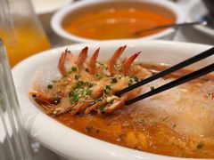 -上海宝华喜来登酒店·采悦轩中餐厅