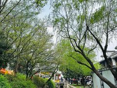 -惠山古镇·寄畅园