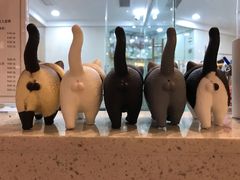 -momokira米努特·德文卷毛猫·棉花面纱犬