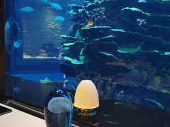 -迪拜帆船酒店海底餐厅