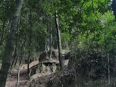 -火炉山森林公园