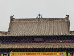 -大槐树寻根祭祖园