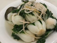 盐水浸白菜苗-利苑海鲜酒楼