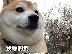 -泰谷酒店·太古码头闽菜自助餐厅