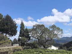 -乌石村