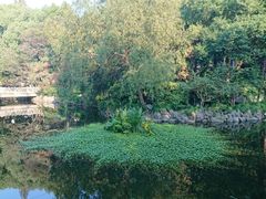 -叶家花园