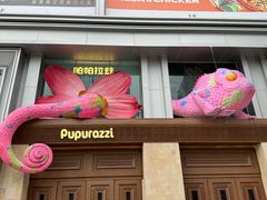 -帕帕拉兹宠物(亚洲旗舰店)