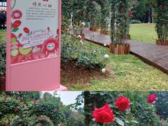 -人民公园(罗湖区)