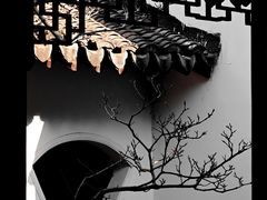 -上海醉白池公园