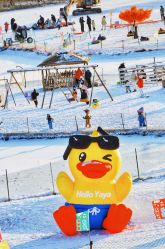 -268童话露营农场·烧烤·团建