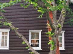 -三鹰之森吉卜力美术馆