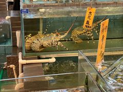 水产区-猪肉婆私房菜(容桂总店)