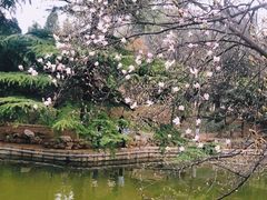 -西苑公园