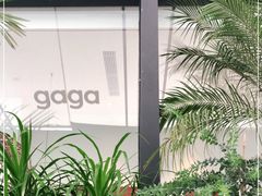 -gaga(深圳南山益田假日广场店)