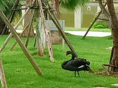 -厦门国家会计学院