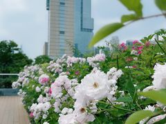 -UNI UNI(环亚凯瑟琳店)