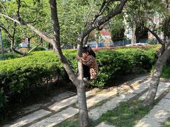 -马濠公园