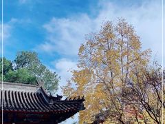 -香山公园