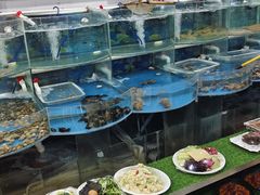 -鑫渔港海鲜本地菜·山海关浑锅(东戴河店)
