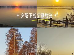 -东湖落雁景区