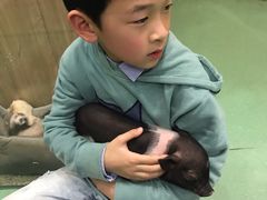 -藦茜花园宠物主题亲子互动体验馆(国顺东路店)