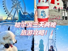 -哈尔滨热雪奇迹