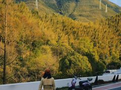 -黄山翡翠谷景区