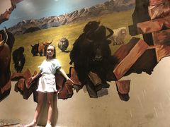-三牦记·很牛的牦牛肉(柏条河北路下段店)