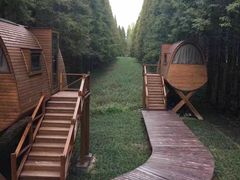 -黄海国家森林公园