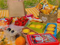 -长白岛森林公园