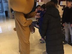 -苏州金鸡湖大酒店