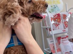 -创凡宠物医院·骨专科  猫科中心(西乡分院)