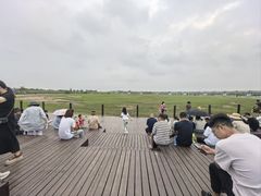 -盐城丹顶鹤湿地生态旅游区