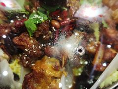 -吉吉向上炭烤鸡肉煲(西小区店)