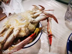 -广鹿岛