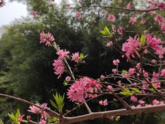 -重庆彩云湖湿地公园