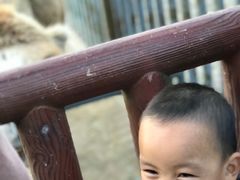 -无锡动物园·太湖欢乐园