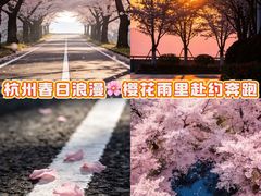-龙湖杭州滨江天街