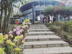 -MAMACHA妈妈茶(岳麓山店)