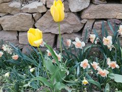 -国家植物园南园