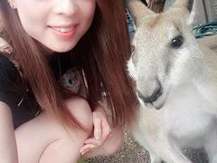 -费瑟代尔野生动物园