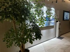 -VIP 威尔仕健身·游泳(嘉华中心店)