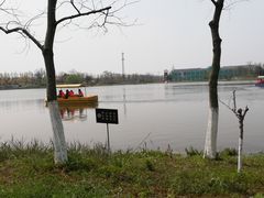 -上海长兴岛郊野公园